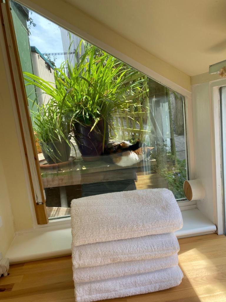 Lyme Clifftop Hideaway ไลม์รีจิส ภายนอก รูปภาพ
